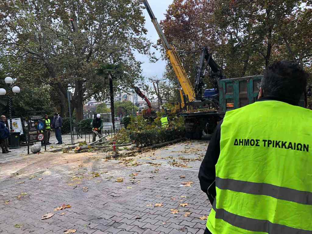 1.100 δέντρα ανανέωσε με το κλάδεμα ο Δήμος Τρικκαίων