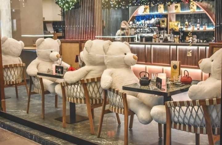 Καρδίτσα: Καφετέρια έβαλε αρκούδους για πελάτες. - φωτο:bovary.gr