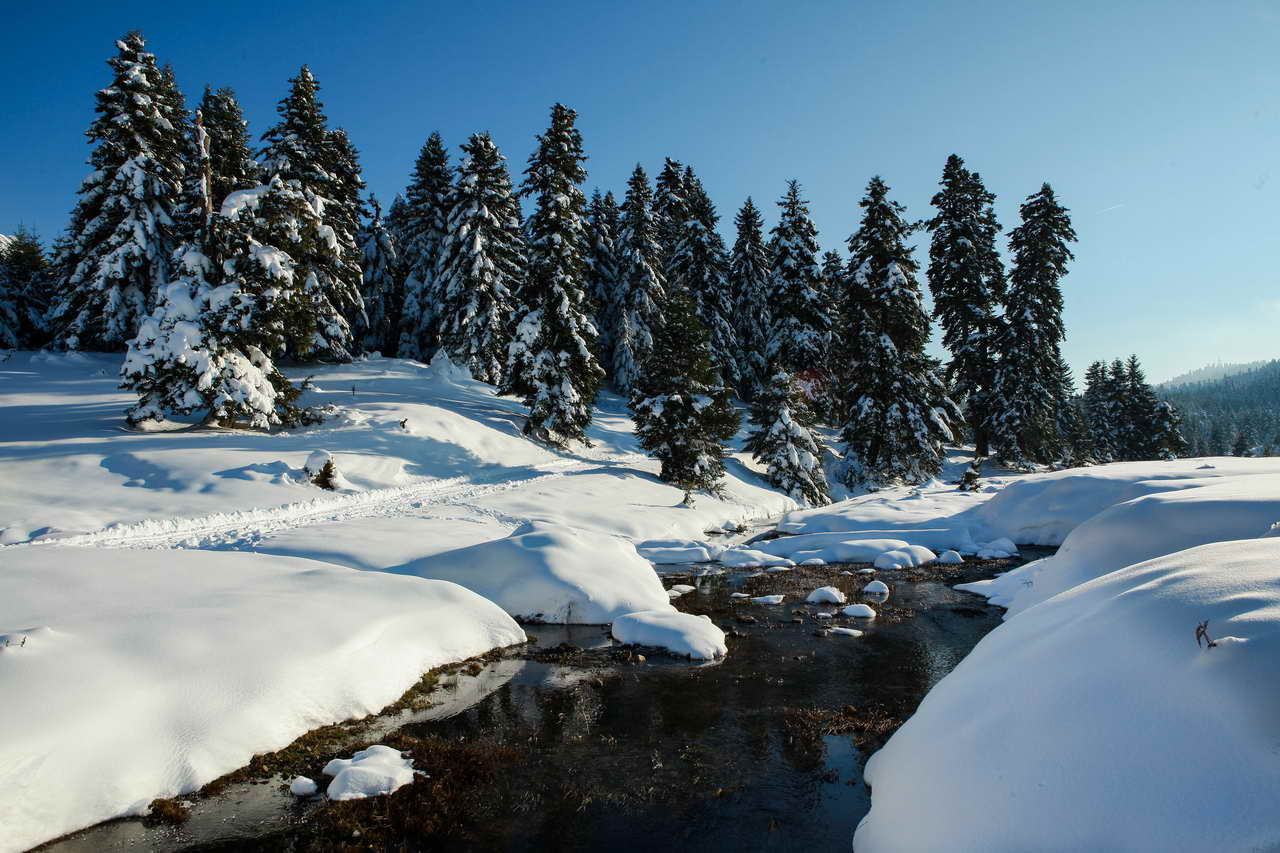 Ελάτη-Περτούλι: Ο απόλυτος χειμερινός προορισμός- πηγή:traction.gr