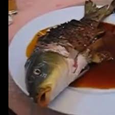 Πιάτο για γερά στομάχια: Ψάρι σερβίρεται με το κεφάλι ωμό για να κινεί στόμα και μάτια ενώ το τρώνε